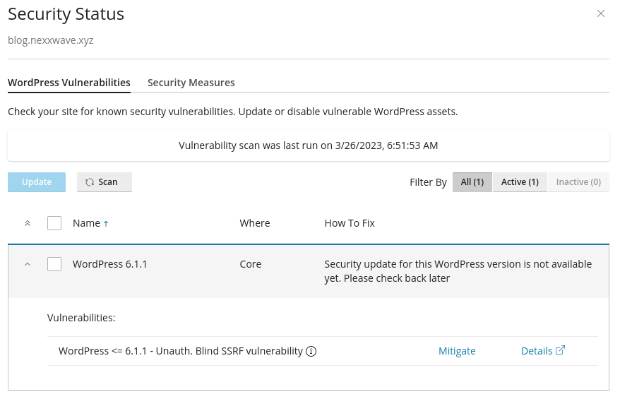 WordPress security checks